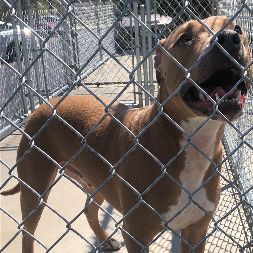 Meet your Posher, Armando